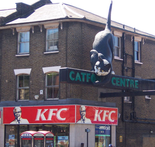 catford_cat.jpg