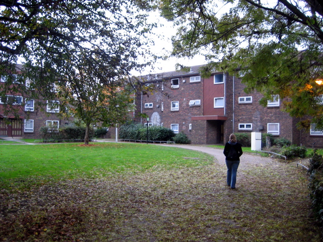 Autumn in the Housing Estate