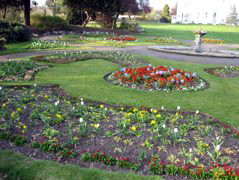 Norwood Grove Gardens