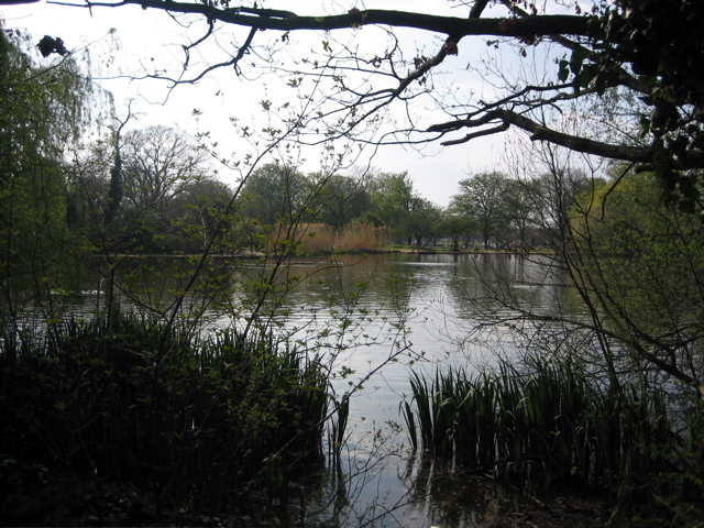 Tooting Bec Common Terrapin Pond