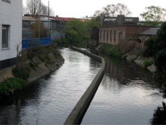 The mighty River Wandle