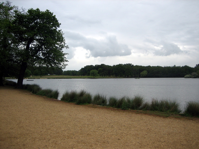 Pen Ponds - Richmond Park