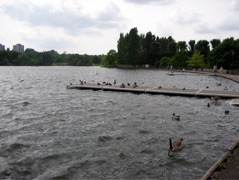 Wimbledon Park's Lake