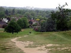 Petersham Park