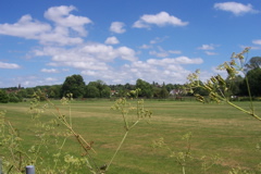 Green fields of Bexley