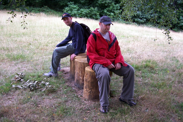 Someone thoughtfully provided logs to sit on.