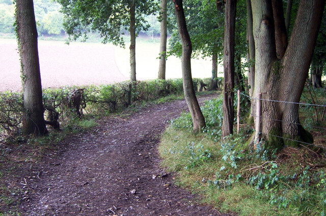 Generic sheltered tree path by field