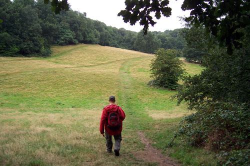 tom_walks_in_field.jpg