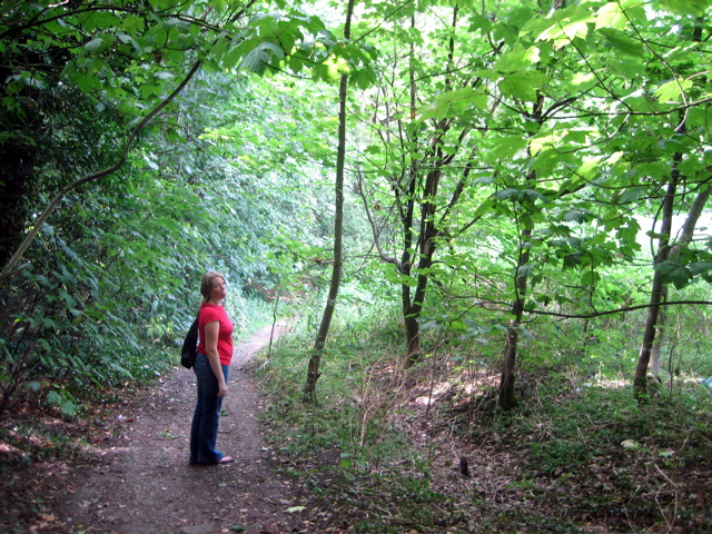 Castle Wood
