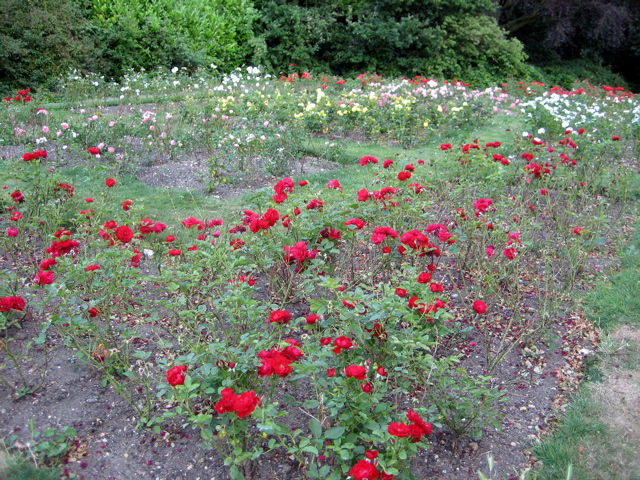 The current gardens