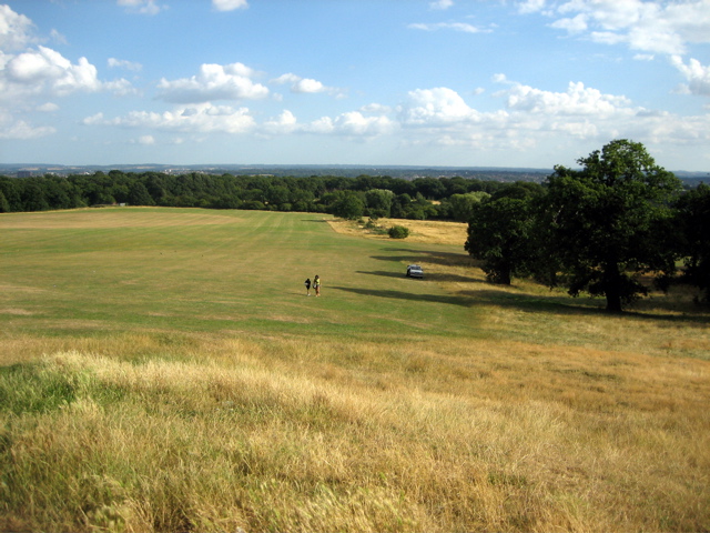 Down the Meadow