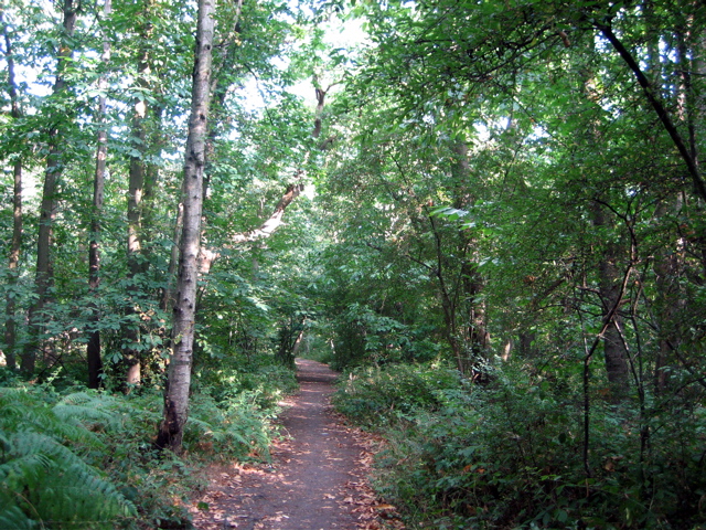 Eltham Park North