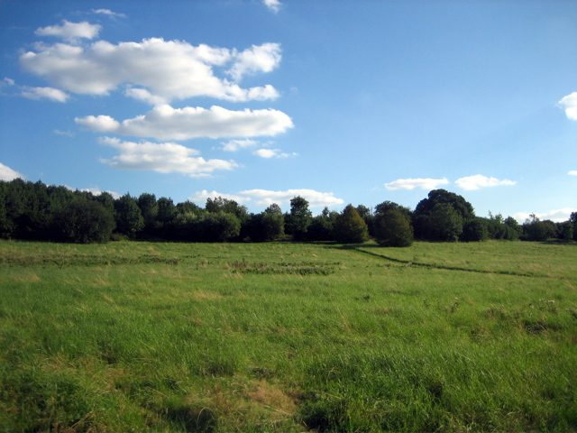 Fryent Country Park