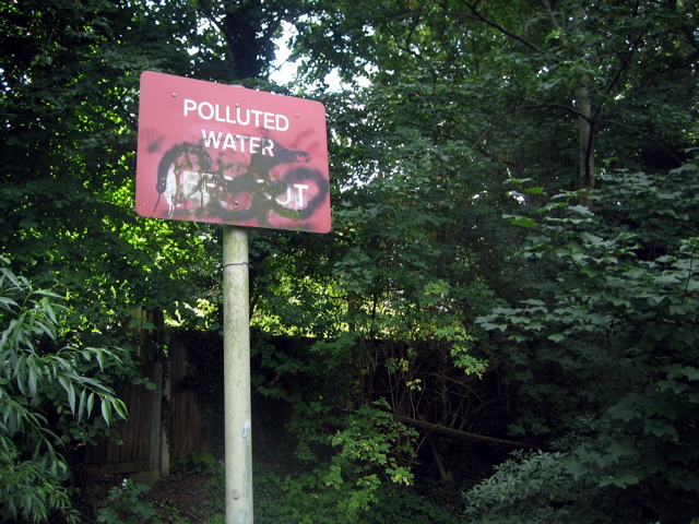 Polluted Water