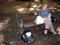 Picnic in the Wood