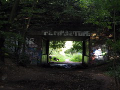 The Parkland Walk