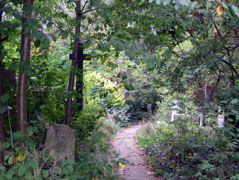 Abney Park Cemetery
