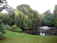 Springfield Park