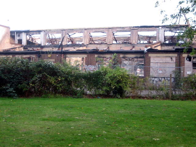 Decay in Cator Patk