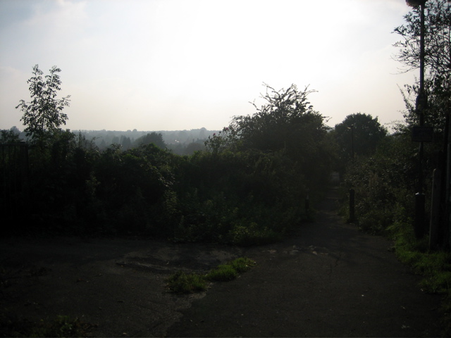 Hazy Sunshine