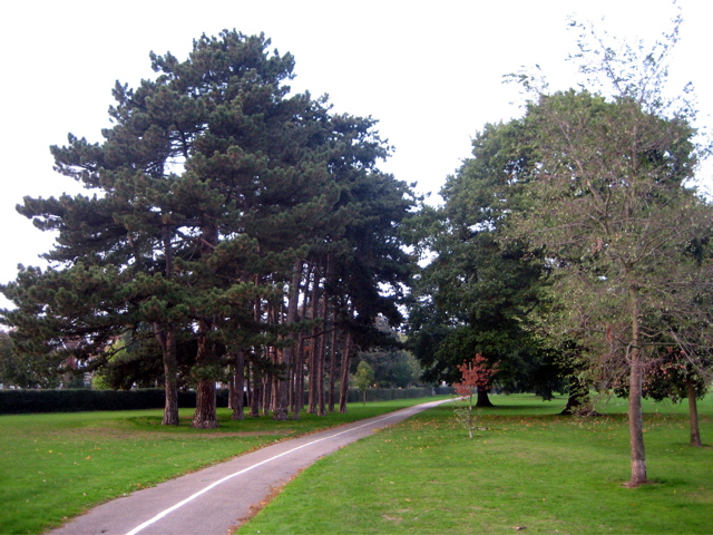 Still in Cator Park