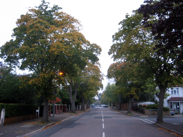 Suburban Penge