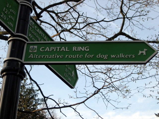 No Dogs!!