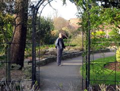 Norwood Grove again