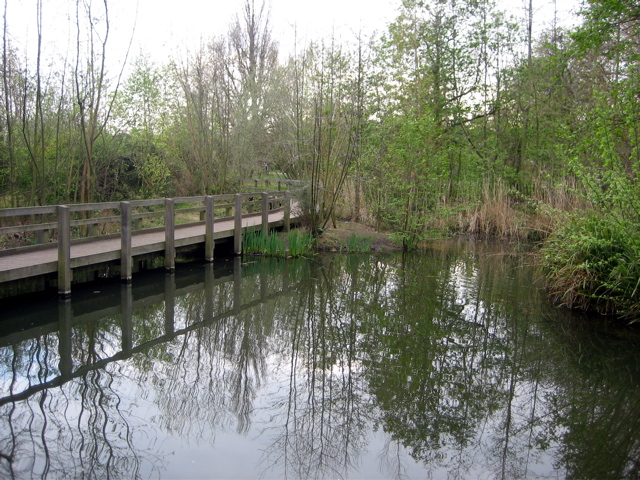 Wandsworth Common