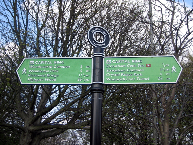 Ring sign