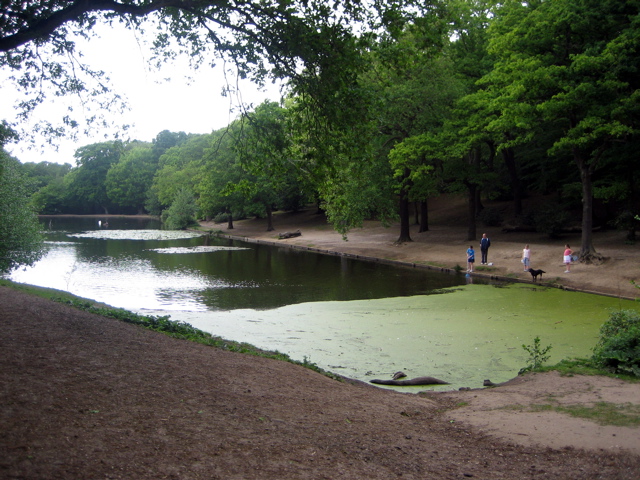 Queen's Mere