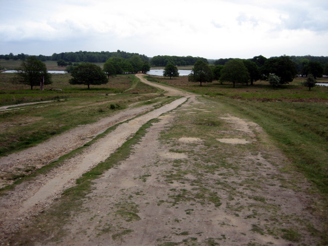 Richmond Park