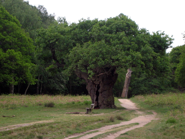 Richmond Park