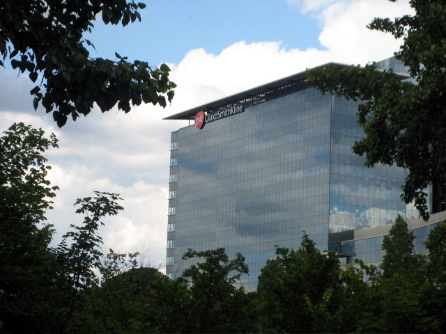 More GSK house