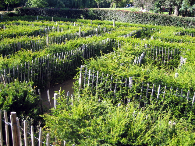 The Maze