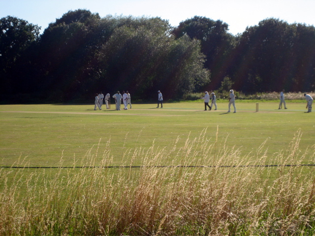Cricket