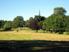 Edge of the Park