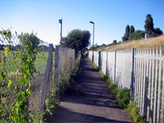 Boring Path
