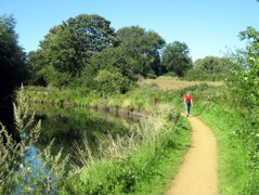 Still on the Canal
