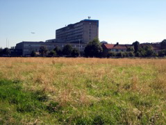 Urban