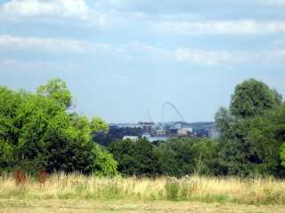 On Horsenden Hill
