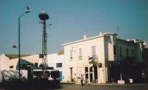 kenitra birds