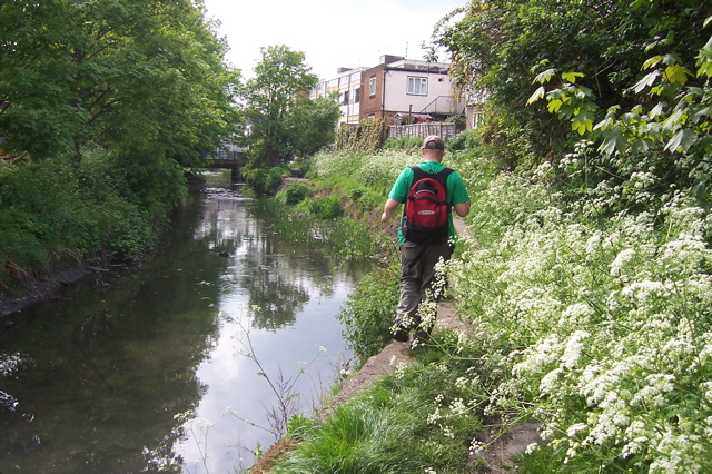 The River Cray