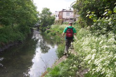 The River Cray