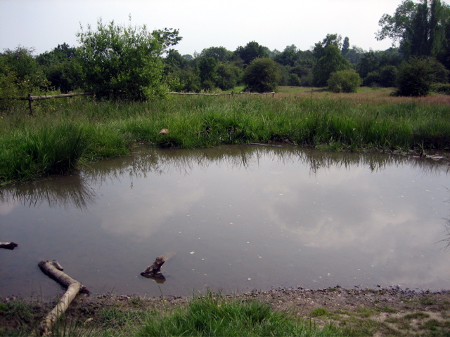 More Pond