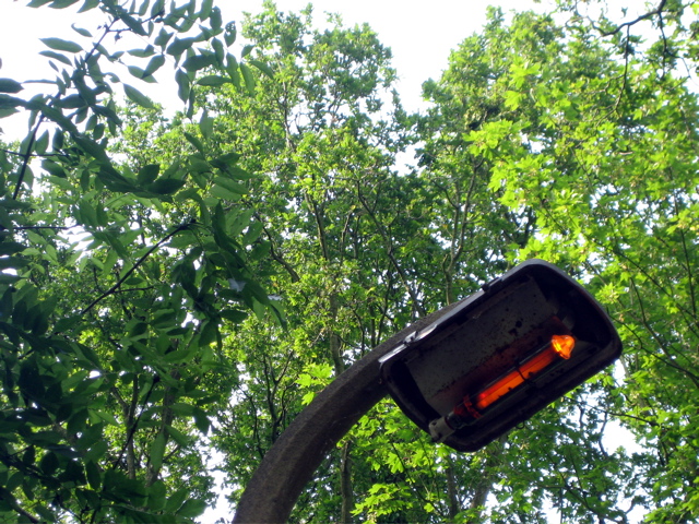 Streetlight