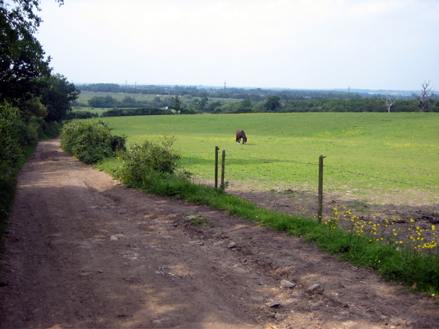 Track