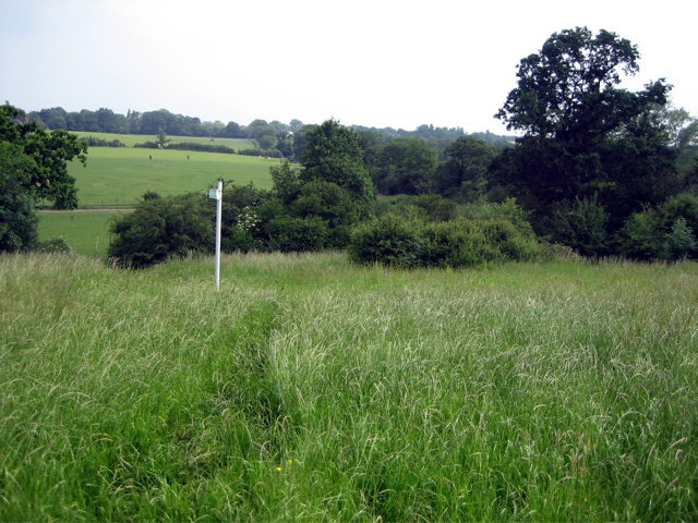 Nice Fields