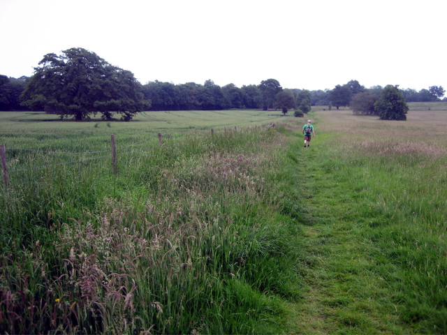 Field