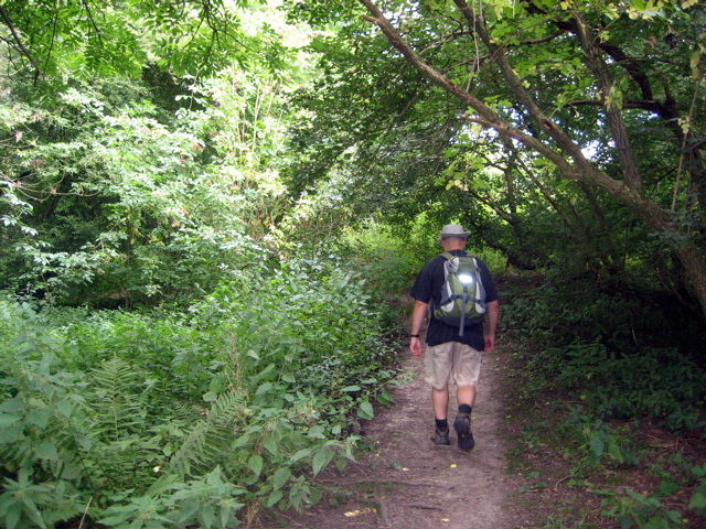 Hadley Common